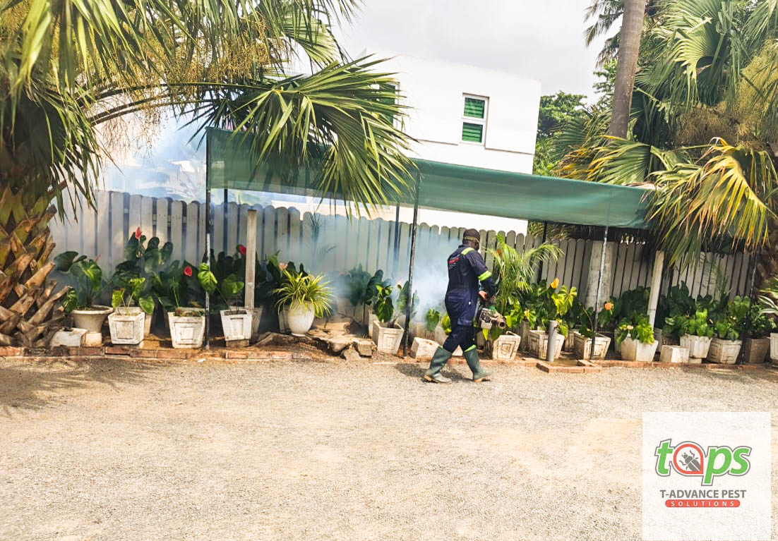 pest control project 4